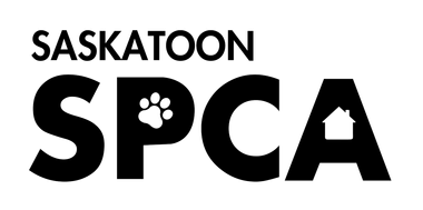 Saskatoon SPCA