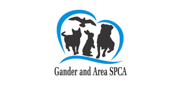 Gander & Area SPCA