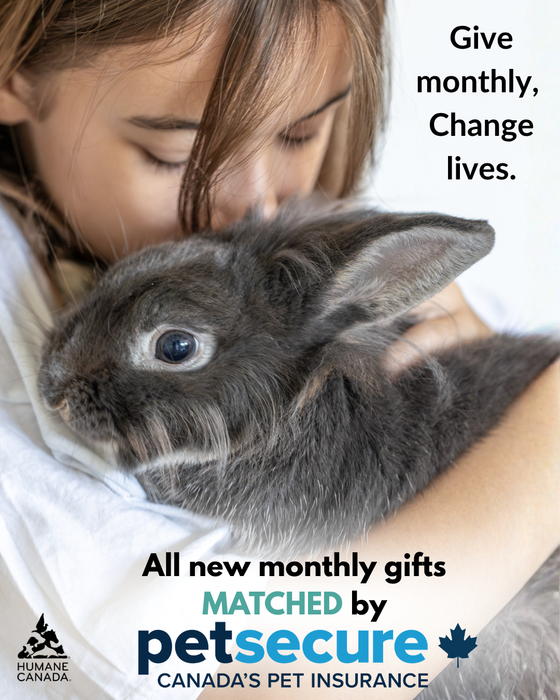 Petsecure matching monthly donations