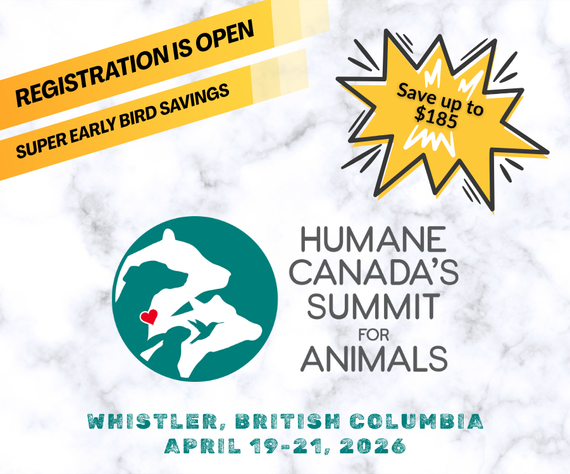 Summit for Animals logo, with text promoting the super early bird savings of up to $185