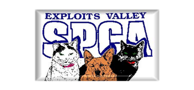 Exploits Valley SPCA