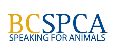 BC SPCA