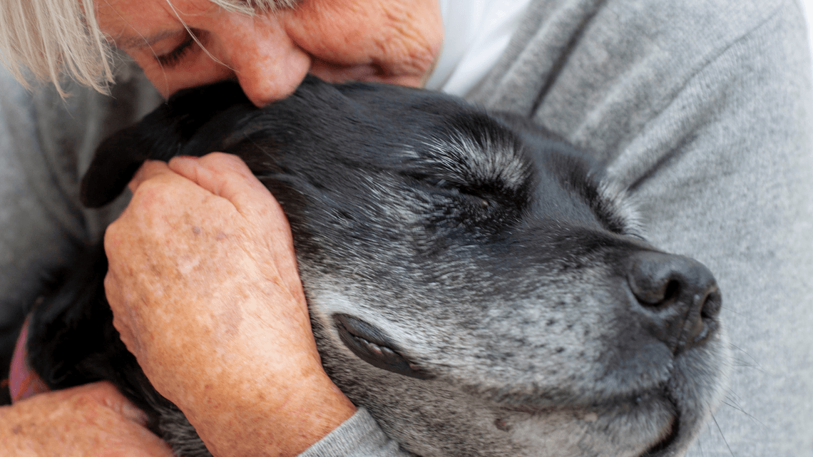 Woman hugging aging black dog