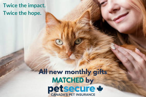 Woman petting cat. Text: "Twice the impact. Twice the hope. All new monthly gifts MATCHED by petsecure"