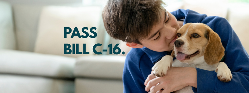 Kid petting dog with caption "Pass Bill C-16"