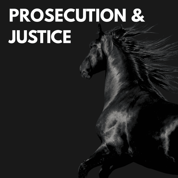 Black Horse rearing with text "Prosecution & Justice"
