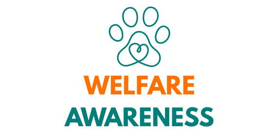 Advancing Animal Welfare Awareness