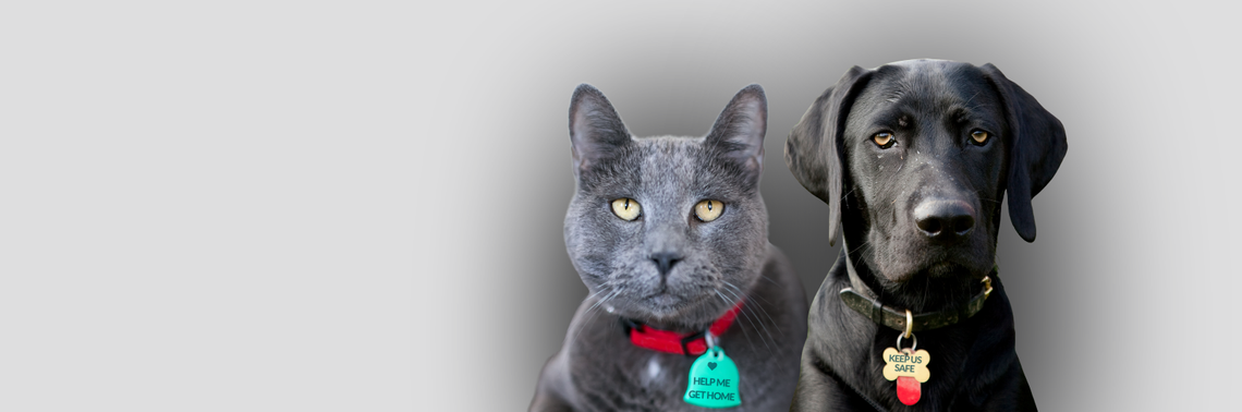 Cat and Dog with tags saying "Help us get home."