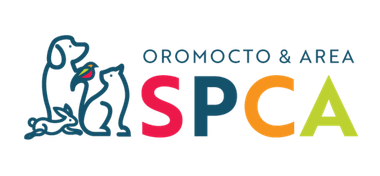 Oromocto & Area SPCA