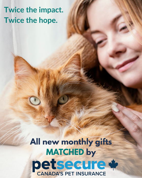 Woman petting cat. Text: "Twice the impact. Twice the hope. All new monthly gifts MATCHED by petsecure"