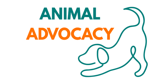 Animal Advocacy