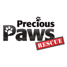 Precious Paws Rescue Logo