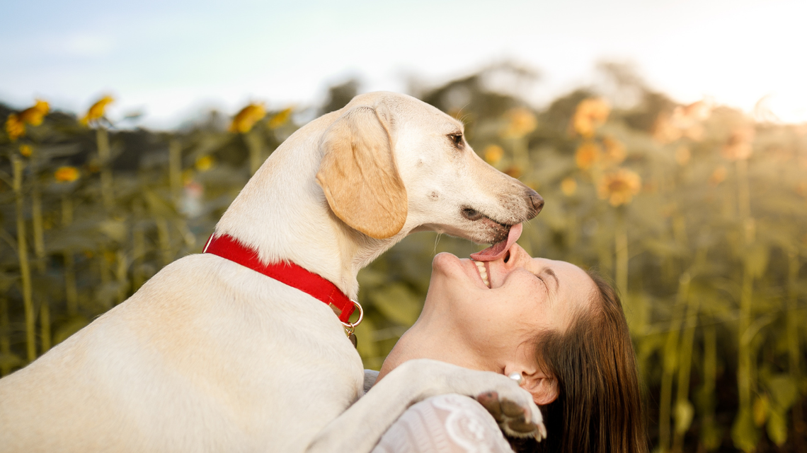 Dog licking a happy person's face in a field