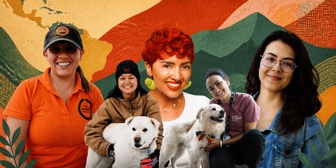 four latin women, 2 of them holding a dog each, against a colourful backdrop