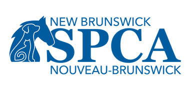 New Brunswick SPCA