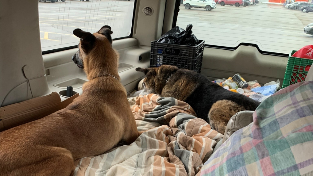 Man who lived in vehicle with 2 dogs hopes for fresh start with